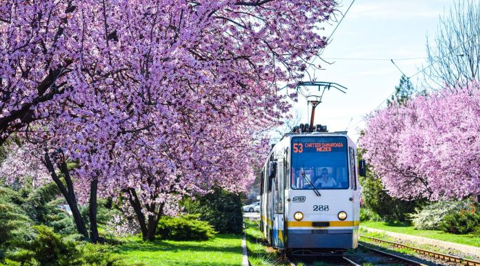 Primăria Capitalei anunţă programul de Paşte al mijloacelor de transport în comun/ În noaptea de Înviere, 25 de linii de noapte şi linia de tramvaie 41, până în jurul orei 03.00