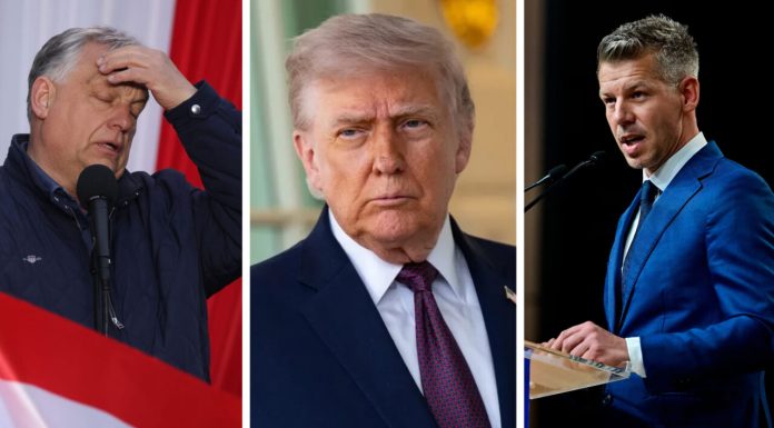 Reacția surprinzătoare a lui Trump la înfrângerea lui Orban: „Nu m-am implicat prea mult în campanie. Era cu mult în urmă“ Ce părere are despre Magyar