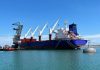 Bani pentru fondatorii Dedeman și viitorii pensionari. Transport Trade Services distribuie aproape jumătate din profitul net al anului trecut sub formă de dividende