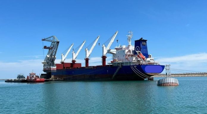 Bani pentru fondatorii Dedeman și viitorii pensionari. Transport Trade Services distribuie aproape jumătate din profitul net al anului trecut sub formă de dividende