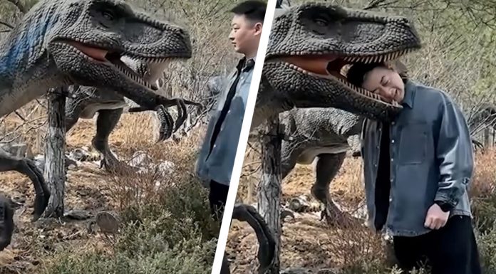 Gestul inconștient al unui turist. Cum a ajuns la spital dintr-un parc cu dinozauri