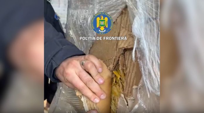 Ce au descoperit polițiștii de frontieră într-o autoutilitară venită din Bulgaria. Captură de peste 100.000 de lei
