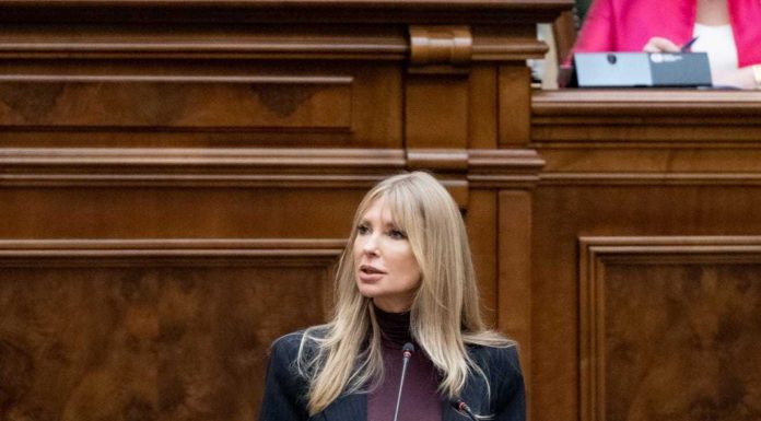 Victoria Stoiciu (PSD): Legea femicidului nu discriminează, protejează toate victimele violenței domestice