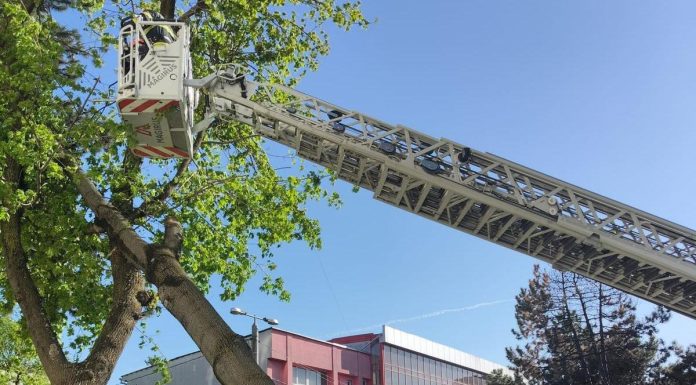 Efectele vijeliilor din ultimele 24 de ore: Un mort, trei răniţi, aproape 100 de imobile afectate, peste 35.000 de consumatori fără energie electrică/ Pompierii au intervenit în 72 de localităţi/ Cele mai afectate judeţe, Iaşi, Neamţ, Suceava şi Vaslui