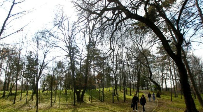 ANM anunță cum va fi vremea de 1 mai: Vești bune pentru români