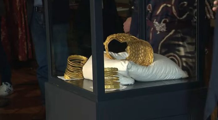 Ancheta jafului Tezaurului Dacic avansează. Procurorii olandezi cer pedepse de până la 5 ani și jumătate. Reacția mamei celui mai tânăr suspect