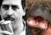 Hipopotamii lui Pablo Escobar vor fi omorâți. Motivul pentru care guvernul columbian a luat decizia controversată