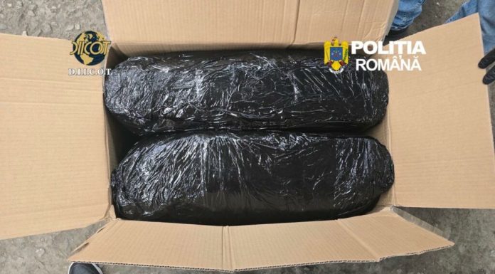 Captură la Târgu Mureș: doi bărbați arestați după ce au adus peste 13 kilograme de canabis din Spania
