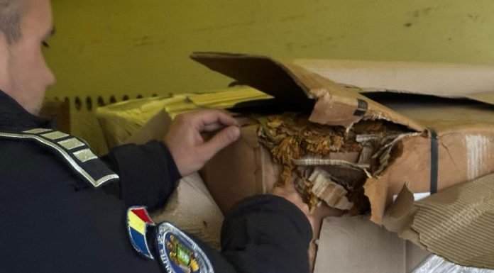Peste o tonă de tutun vrac, găsit de poliţiştii de frontieră din Giurgiu într-o autoutilitară