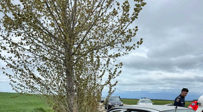 O maşină a intrat într-un copac, pe un drum judeţean din Buzău – O femeie de 83 de ani şi-a pierdut viaţa, iar două persoane au fost rănite – FOTO
