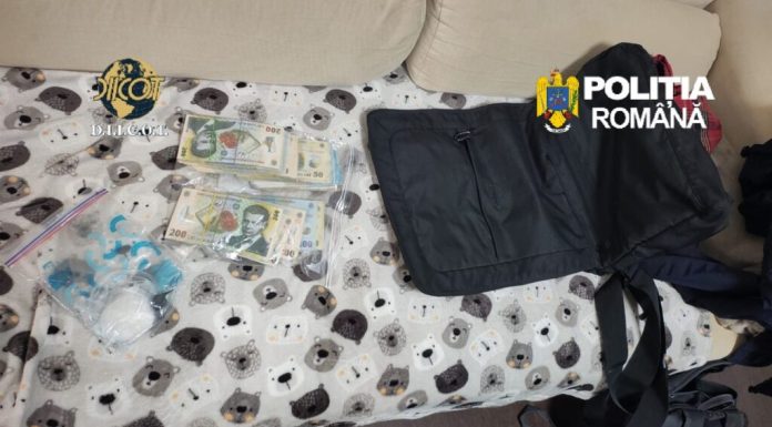 Canabis cultivat și prelucrat în laborator în București și 4 județe. Intervin mascații