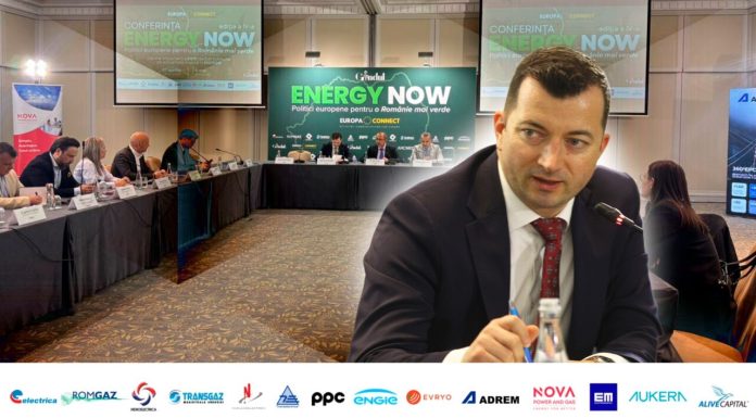 Liviu Gavrilă, vicepreședinte RWEA, la Gândul Energy Now: „Trebuie să accelerăm investițiile pe întreg lanțul”