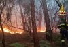 Aproximativ 3.500 de persoane au fost evacuate în Toscana, Italia, după un incendiu de pădure care a devastat peste 800 ha