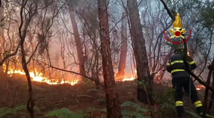 Aproximativ 3.500 de persoane au fost evacuate în Toscana, Italia, după un incendiu de pădure care a devastat peste 800 ha
