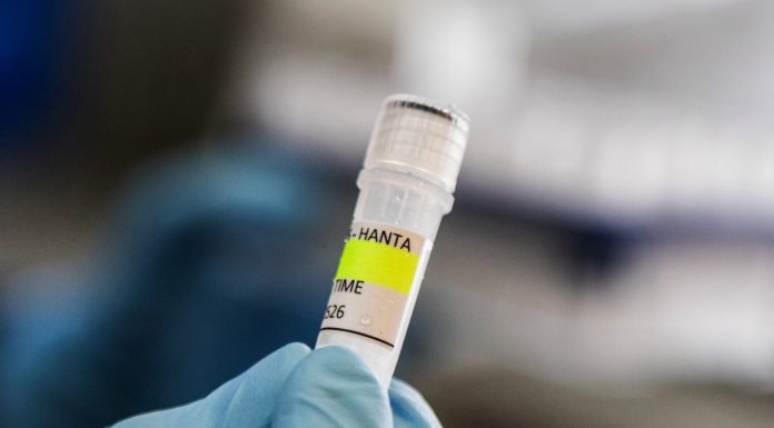Suspiciune de hantavirus în Spania. O femeie din Alicante, izolată după ce a fost pasageră pe nava Hondius