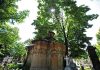 Doi tineri reținuți pentru 24 de ore, după ce au dansat pe morminte în cimitirul Bellu