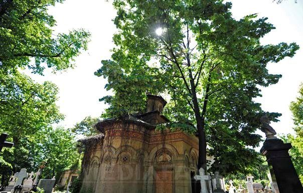 Doi tineri reținuți pentru 24 de ore, după ce au dansat pe morminte în cimitirul Bellu
