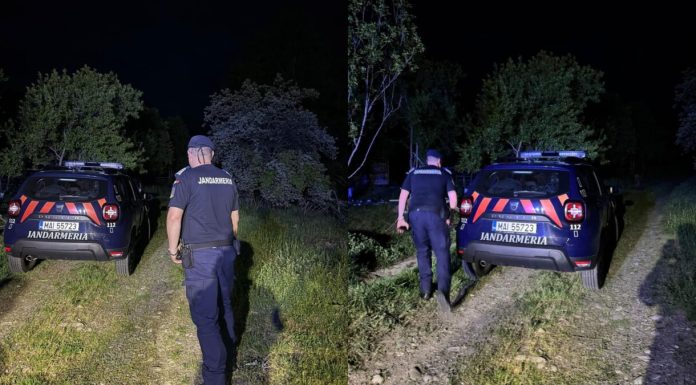 Imagini greu de privit în Călimănești-Vâlcea. Oameni înarmați cu lopeți aleagă un urs prins în gardul electric