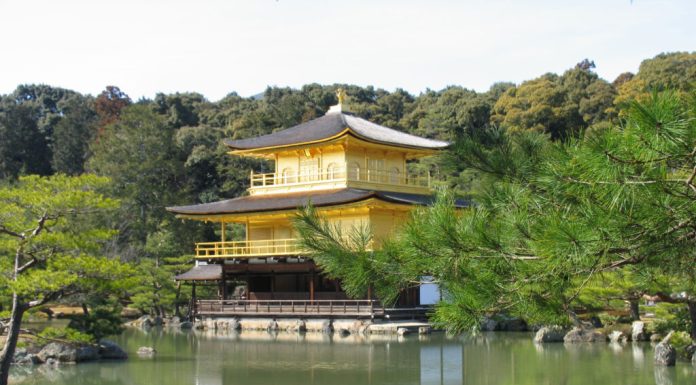 Cele mai mari greșeli pe care le poți face când vizitezi Japonia, relatate de 200 de călători