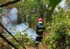 Incendiul de pădure din Caraș-Severin: încă un focar a izbucnit