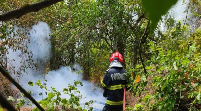 Incendiul de pădure din Caraș-Severin: încă un focar a izbucnit