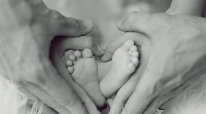 Oamenii și animalele se confruntă cu o criză ascunsă a fertilității, avertizează oamenii de știință