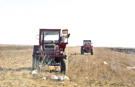Cine sunt agricultorii români care vor primi 3.000 de euro/hectar de la stat. Banii vor intra până de Crăciun