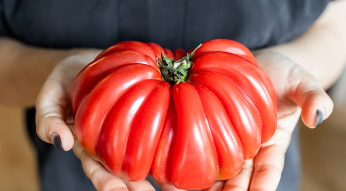 Cum arată cele mai dulci roșii pe care le găsești în piață. Trucuri ca să alegi mereu legume aromate