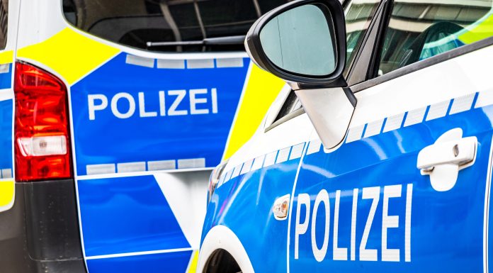 Un copil de 10 ani din Germania și-a lovit mortal mama în timp ce conducea o dubiță în curtea casei. Cum s-a produs tragedia