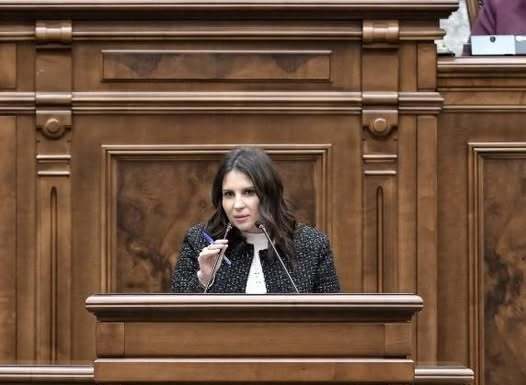Gabriela Horga (PNL): PSD tergiversează discutarea în Senat a proiectului de lege privind interdicţia cumulului pensiei speciale cu salariul la stat