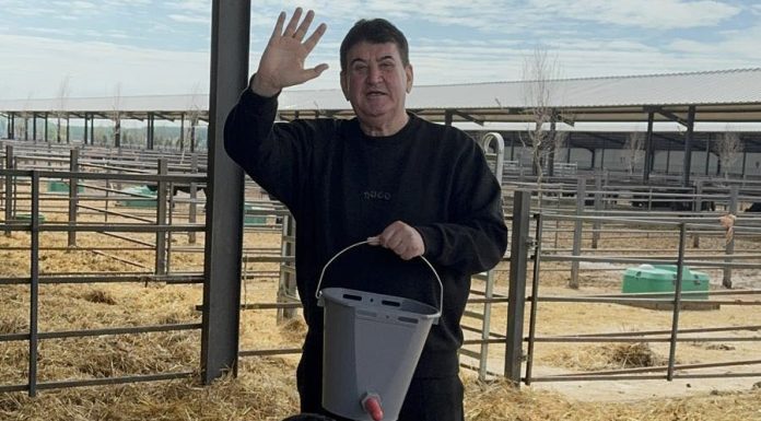 Gabriel Oprea anunță a investiție de 5 milioane de euro într-o fermă de Black Angus deținută de Gigi Nețoiu