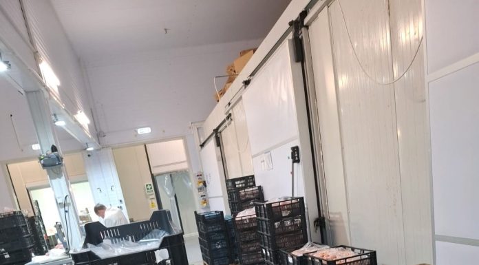 Nereguli grave descoperite de Garda de Mediu la o firmă de procesare a cărnii de pasăre din Galaţi / A fost dispusă oprirea activităţii – FOTO