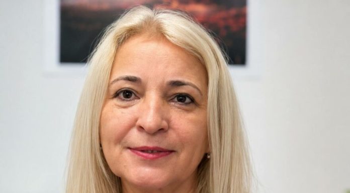 Ce infecții apar primăvara și cum ne protejăm de căpușe și viroze