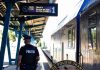 Sindicatul Europol: Conducerea Poliţiei Române a încălcat legea / Direcţia de Poliţie Transporturi are funcţia de director neocupată de peste 5 ani