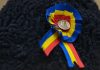 Sondaj INSCOP: 71.9% dintre români declară că ar vota „DA” în cadrul unui referendum pentru unirea dintre România și Republica Moldova