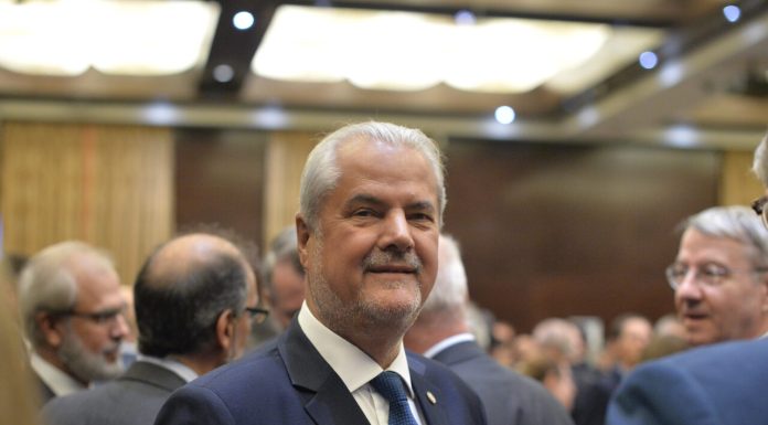 Adrian Năstase acuză USR că îl transformă pe Nicolae Titulescu într-o țintă: Poate că nu „vila” este obiectivul acestei campanii