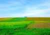 Ucrainenii, îngrijorați că integrarea în UE va înăspri cerințele din sectorul agricol