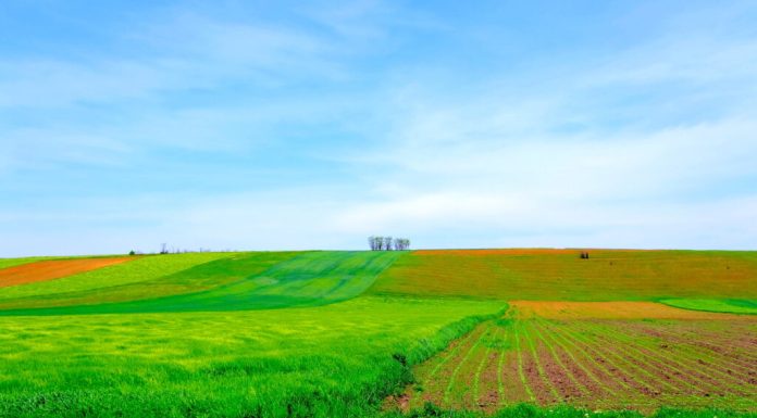 Ucrainenii, îngrijorați că integrarea în UE va înăspri cerințele din sectorul agricol