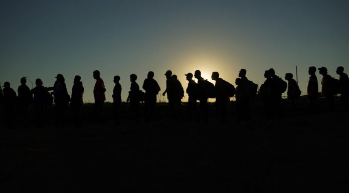 Cum este afectat creierul tău atunci când devii imigrant. Explicația psihologului