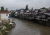 Un pește s-a adaptat râurilor poluate din Indonezia. Răspunsul unui activist: „Este complet nebunesc”