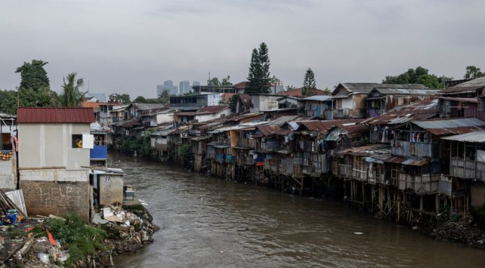 Un pește s-a adaptat râurilor poluate din Indonezia. Răspunsul unui activist: „Este complet nebunesc”