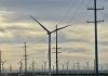 Administrația Trump blochează mai multe proiecte de energie eoliană, invocând motive de securitate națională