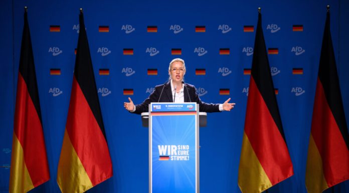 Un apropiat al lui Putin numește partidul de extremă dreapta AfD „speranța germanilor”