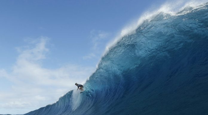World Surf League, oprită după atacul unei creaturi marine misterioase în Noua Zeelandă