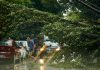 Meteorologii au emis trei coduri galbene la rând doar pentru București