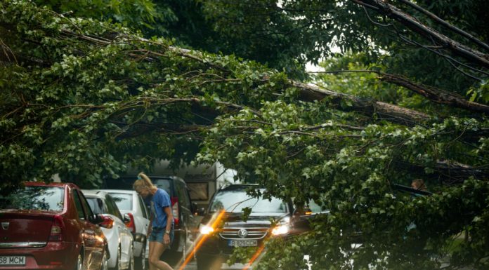 Meteorologii au emis trei coduri galbene la rând doar pentru București