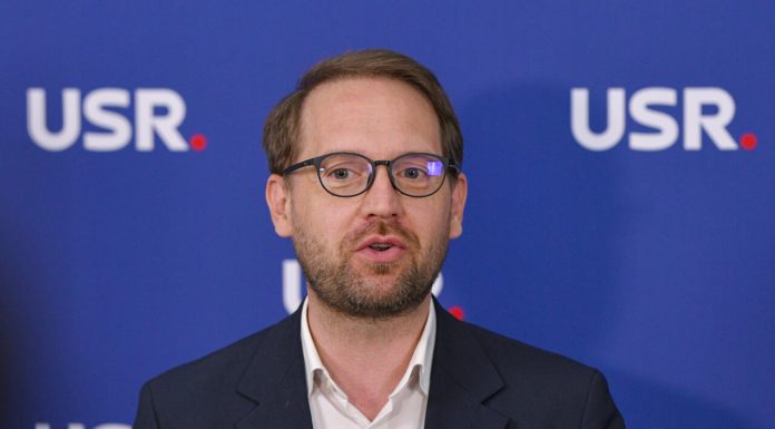 Dominic Fritz, amendat cu 100.000 de lei de Garda de Mediu pentru bolovanii „plantați” pe spațiul verde din Timișoara