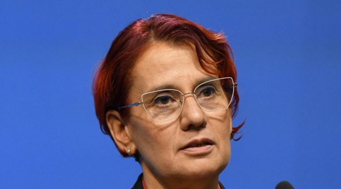Ioana Dogioiu, despre legătura dintre Ilie Bolojan și frații Micula: Declarații politice fără niciun substrat