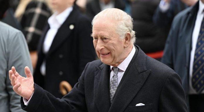 Regele Charles, lovit de „noroc” în Irlanda de Nord: un pescăruș l-a stropit în public