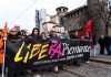 Raportul care îngrozește lumea: mafia face la fel de multe victime ca războaiele
